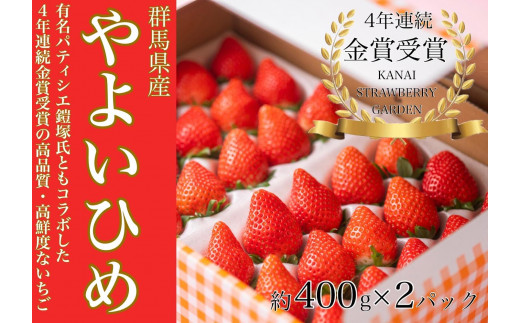 金井いちご園のいちご 1