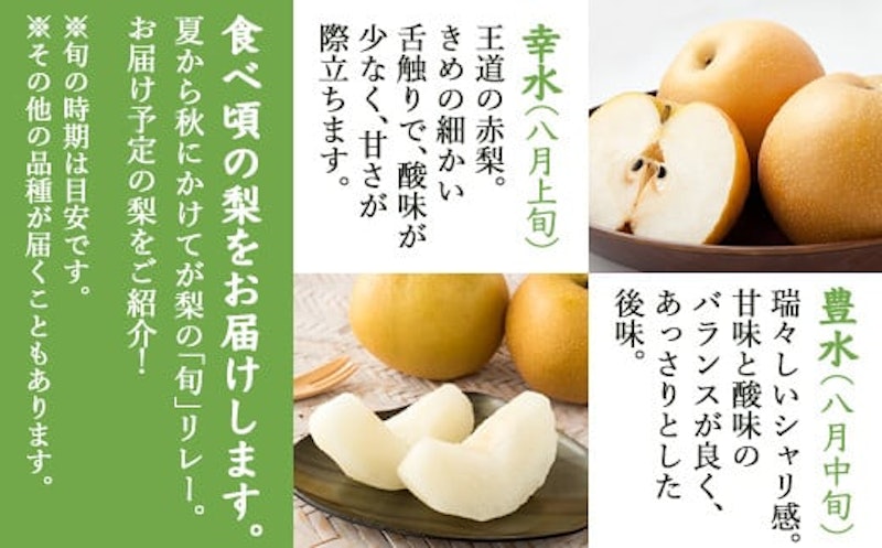 今が食べ頃 特栽 旬の梨 6