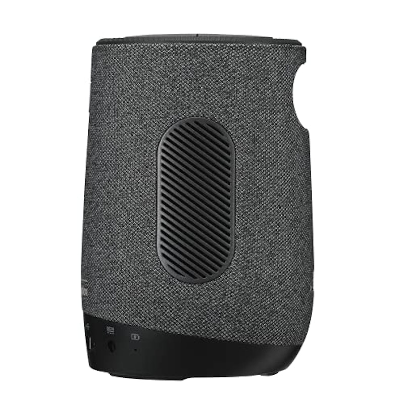 ZenBeam Latte L1 9