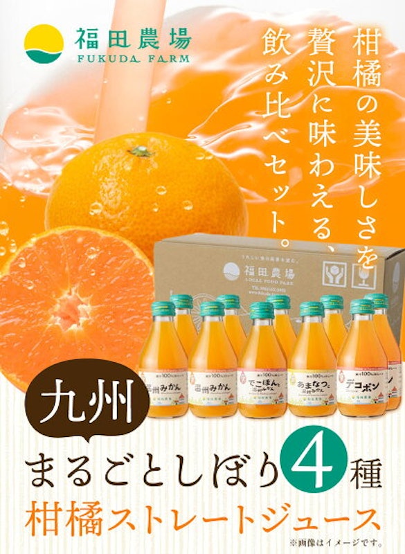 飲み比べ 九州まるごとしぼり4種 ジュース 2
