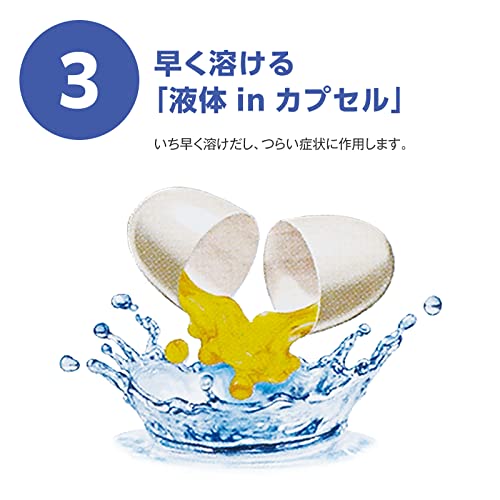 ジェルサイナスEX 4