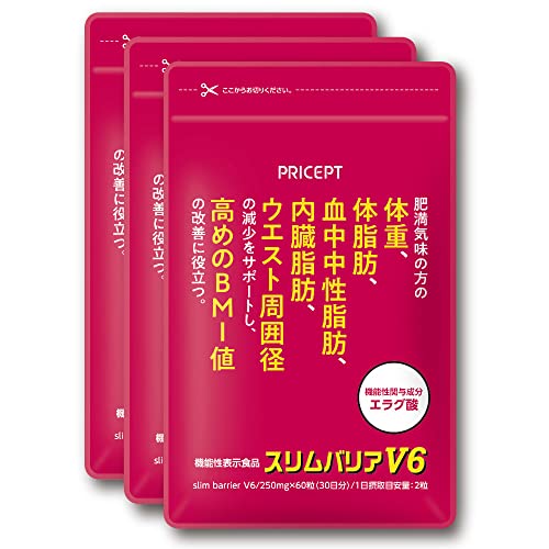 スリムバリアV6 1