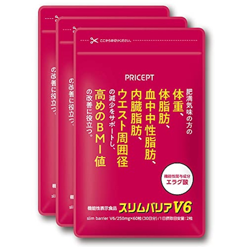 スリムバリアV6 1