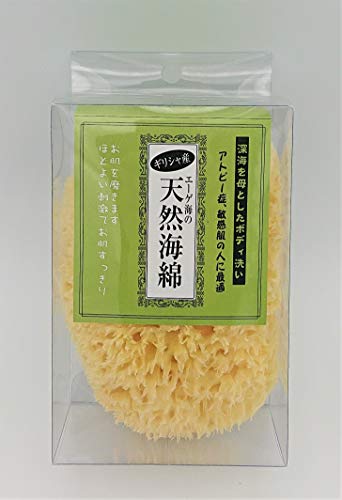 天然海綿 ボディスポンジ 2