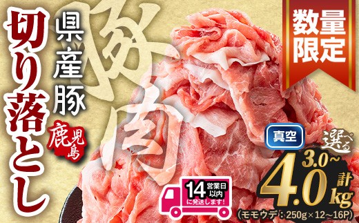 豚肉 小分け切り落とし 1