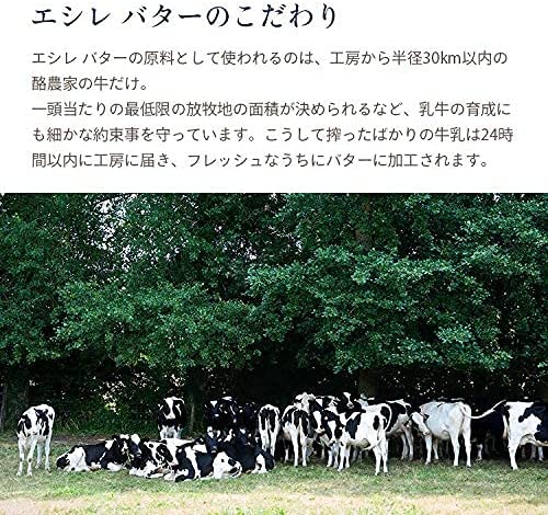 エシレバター 有塩 6