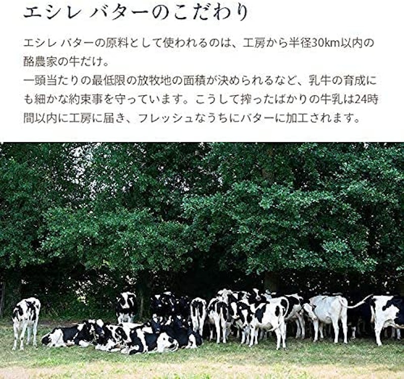 エシレバター 有塩 6