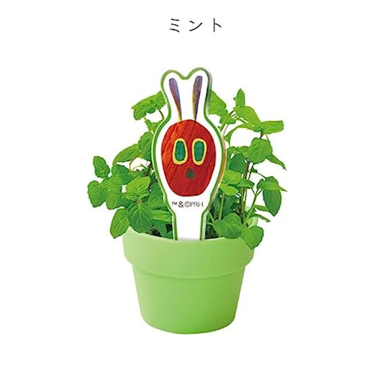 育てるカプセルハーブ 7