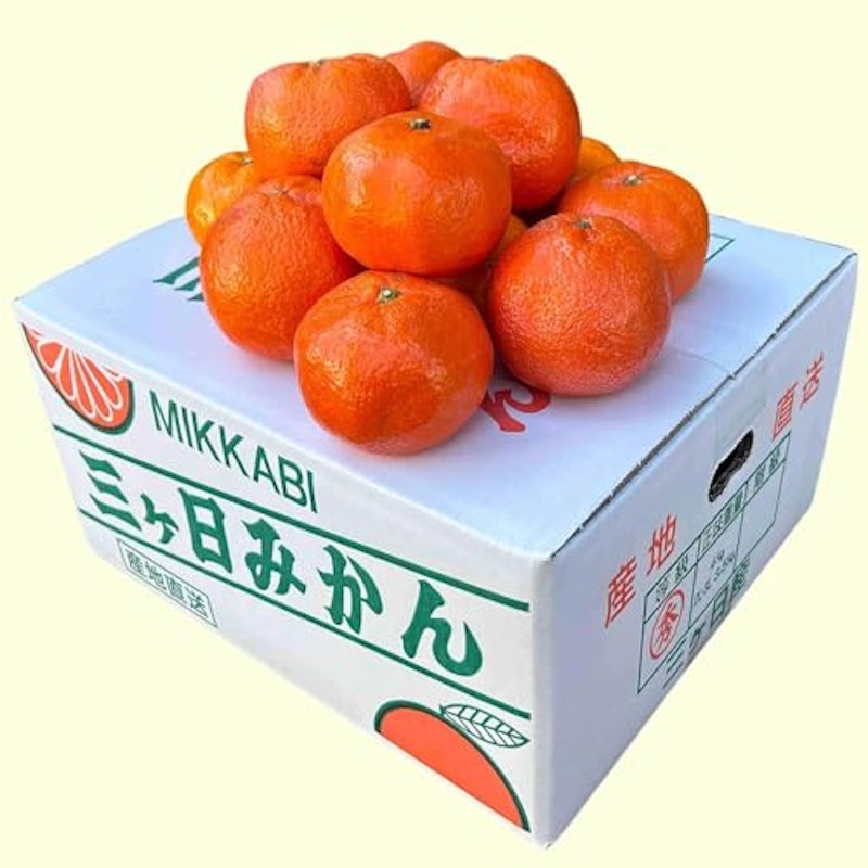 温州みかん 2