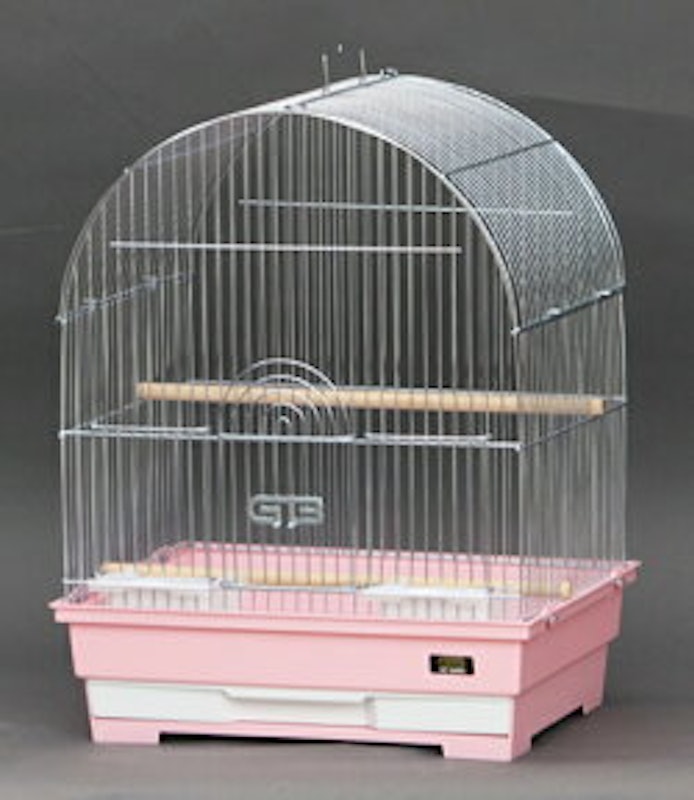 365-A(アーチ) バードケージ 3