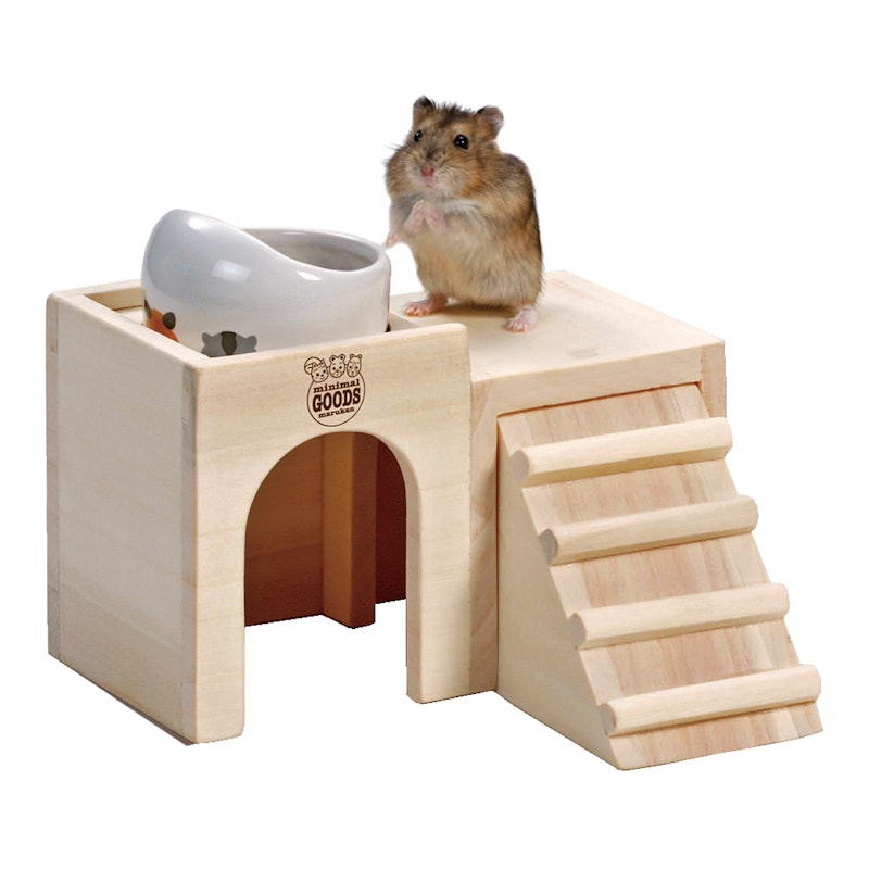 ハムスター用巣箱のおすすめ人気ランキング38選 Mybest ハムスター用巣箱のおすすめ人気ランキング38選 Mybest