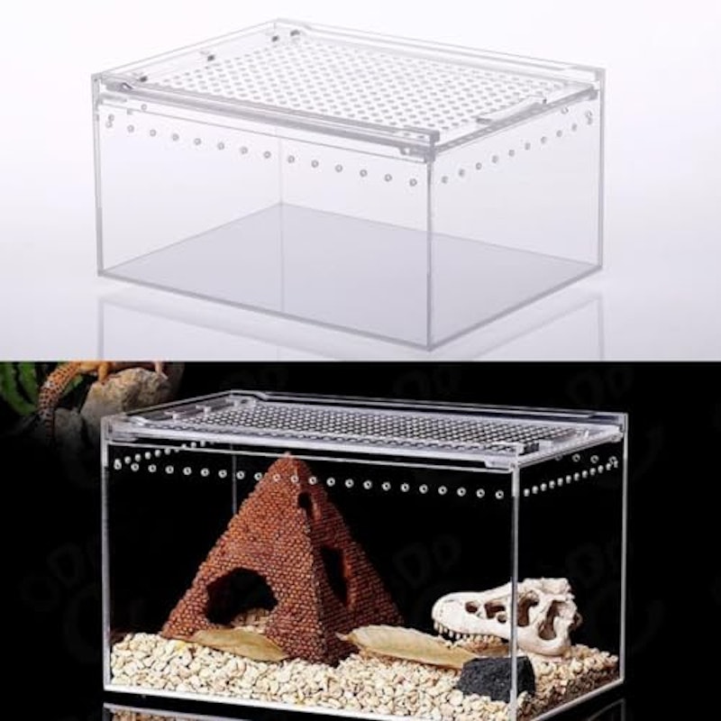 レプタイルボックス 1