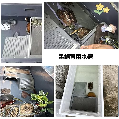 亀飼育用水槽 4