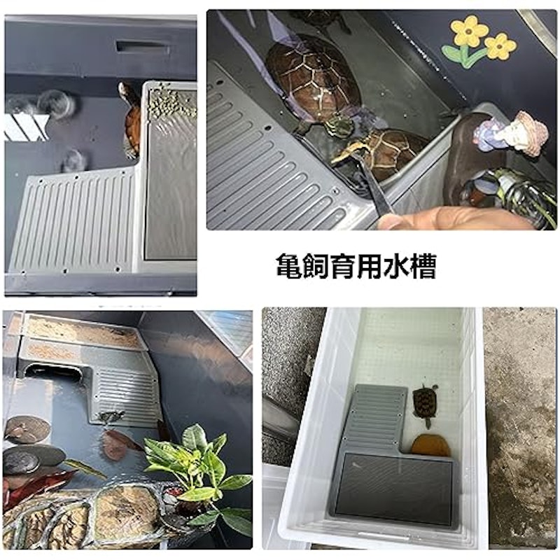 亀飼育用水槽 4