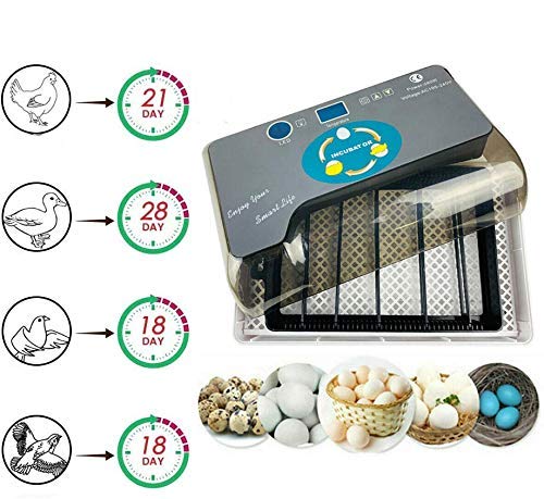 21最新のスタイル Safego 自動孵卵器 孵化器 孵卵機 インキュベーター 自動転卵 鶏 うずら 64卵 簡単操作 デジタル表示 自動温度制御 湿度保持 イ Matzi27 Com