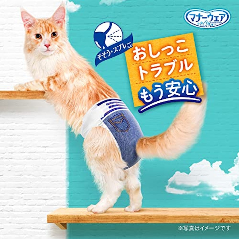 マナーウェア 猫用 Lサイズ 3