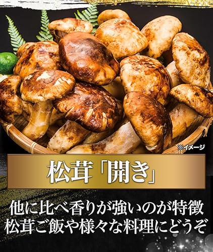  天然高級 松茸開き 4