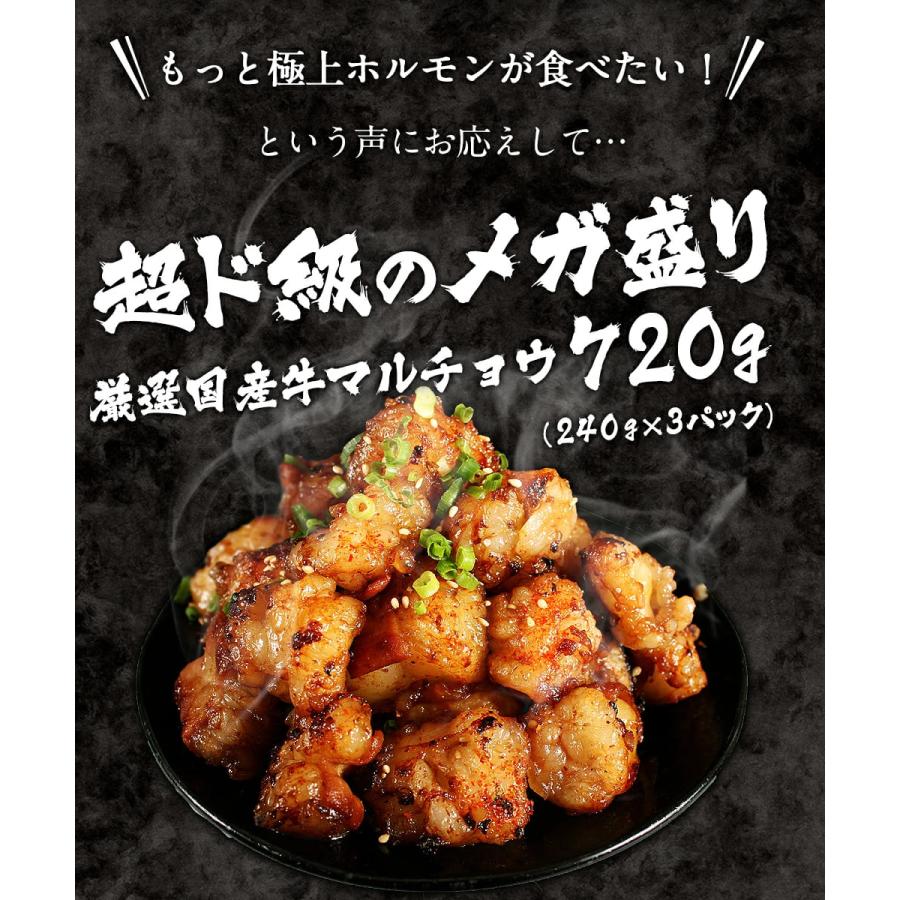 メガ盛りマルチョウ焼き 3