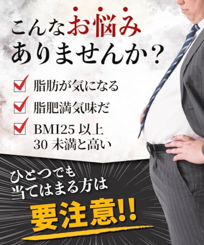 体脂ガードEX 3
