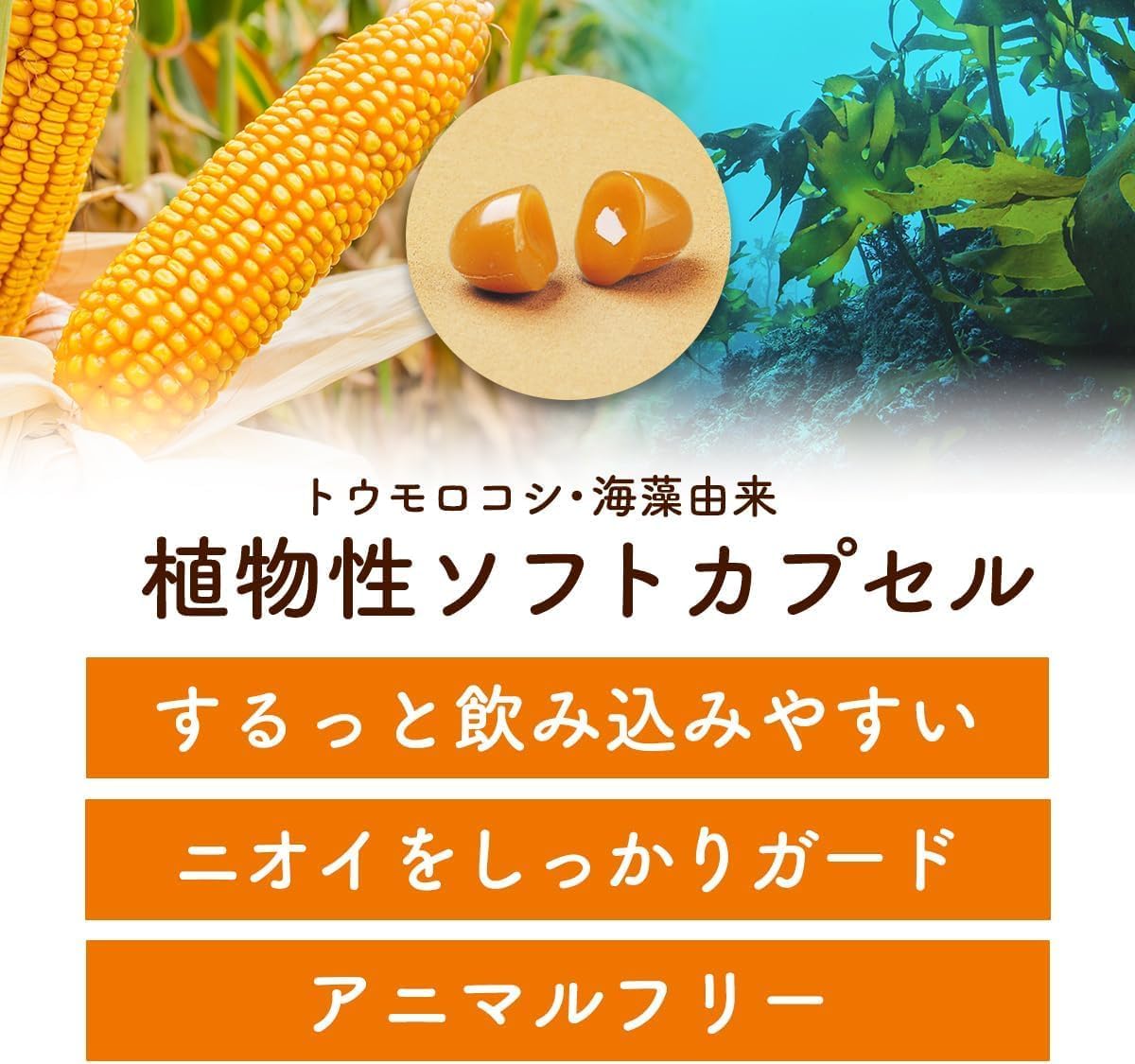  伝統にんにく卵黄 7