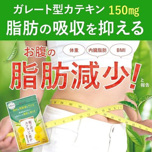 カテキン減脂粒 4袋セット+おまけ(メタボリズム) カテキン減脂粒 4袋セット+おまけ(メタボリズム) カテキンサプリ