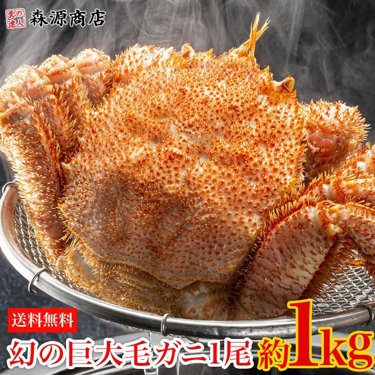 毛ガニ 北海道産 1