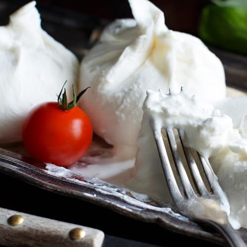 Burrata Cheese 5