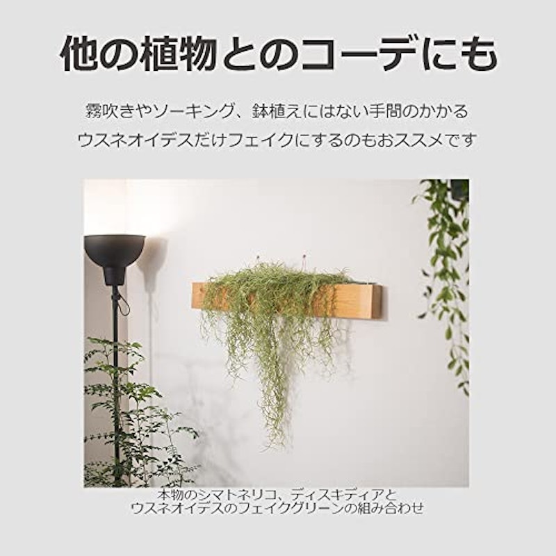 フェイク 観葉植物 5