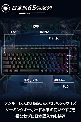 VK300C 2