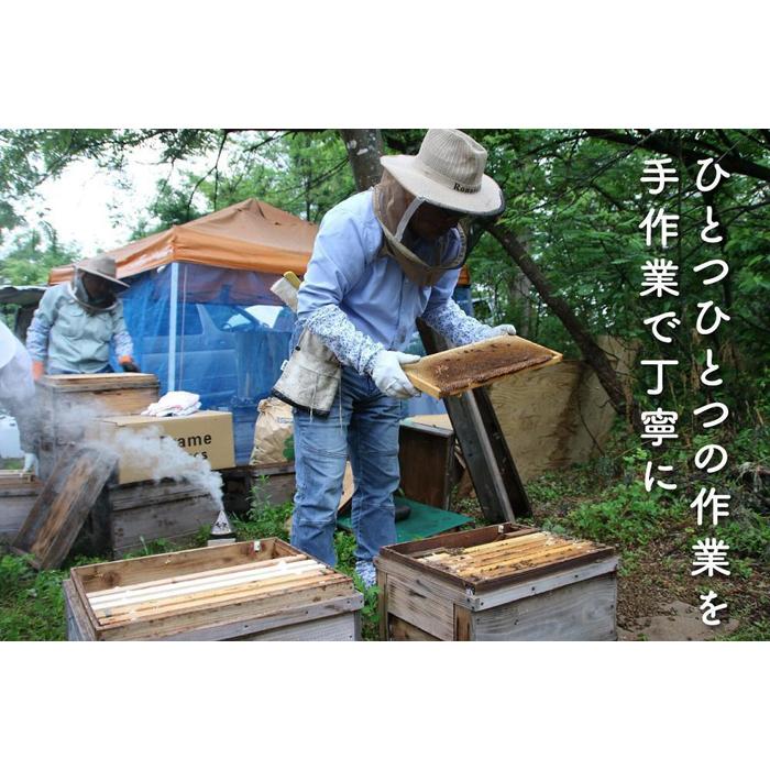 さいき養蜂園 天然ピュア蜂蜜 アカシア 4