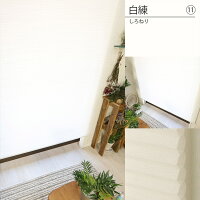 非遮光 ハニカムスクリーン  19