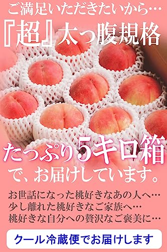 福島県産 伊達の桃 3