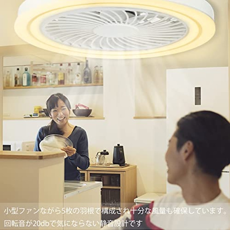 小型シーリングファンライト 5