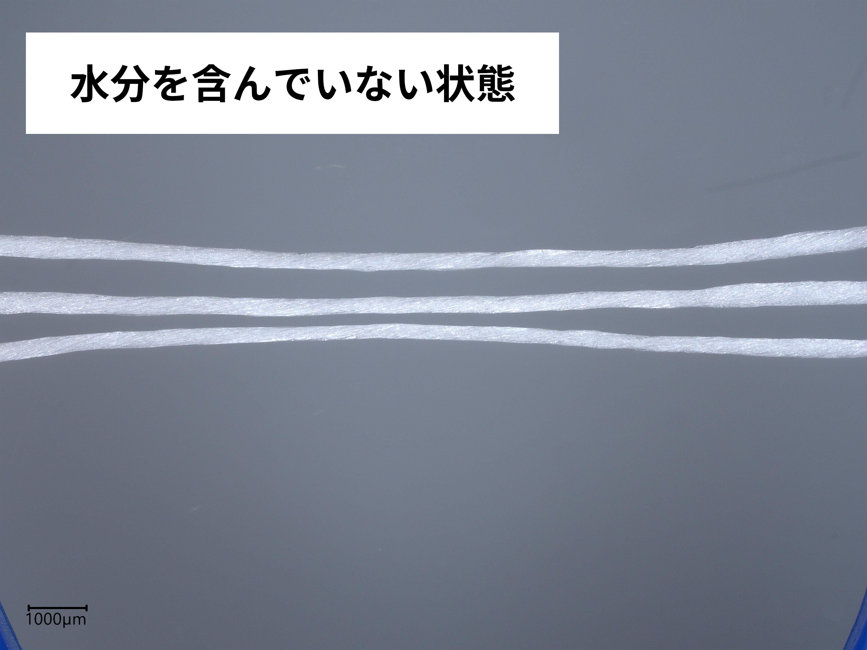フロスエフトリオ 4