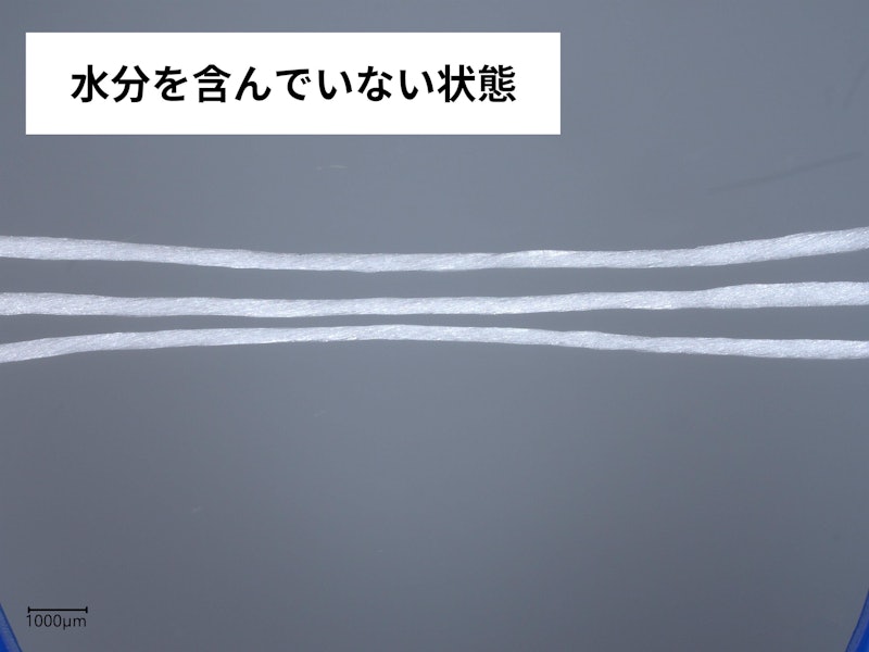 フロスエフトリオ 4