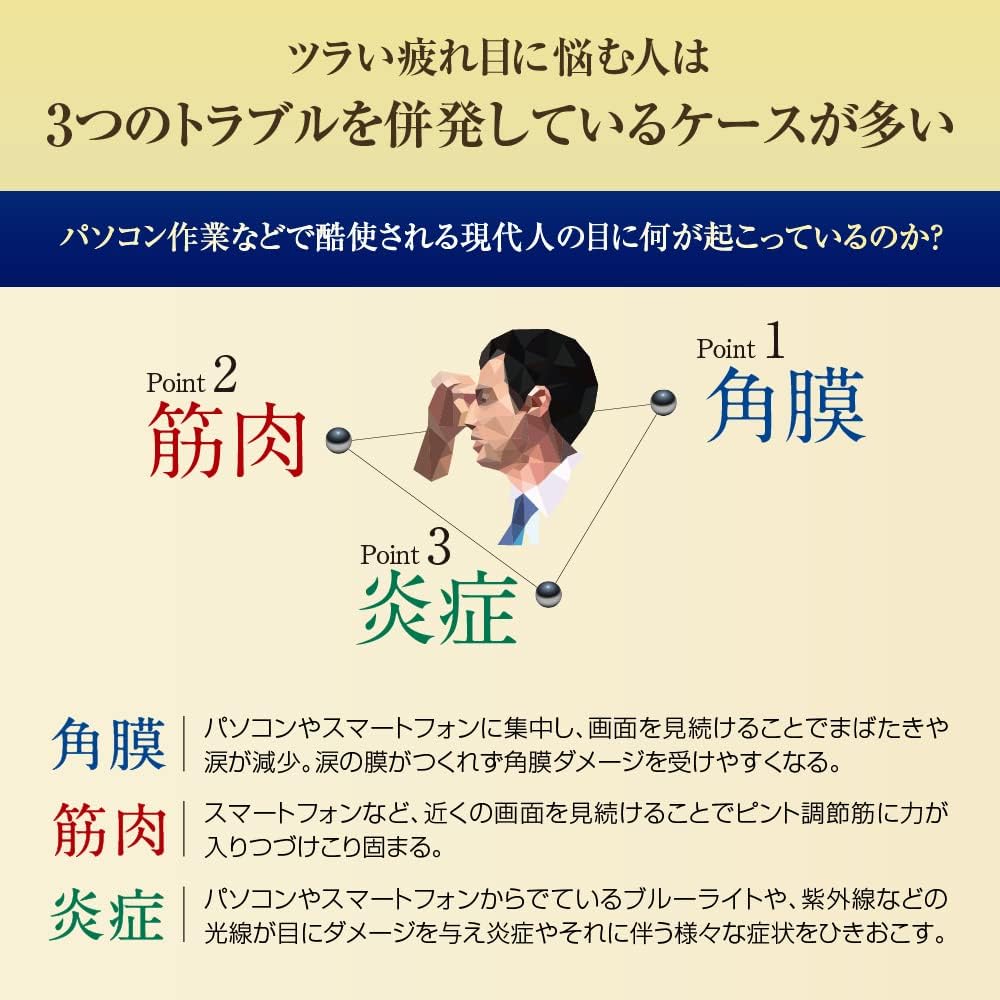 Vロートプレミアム 2