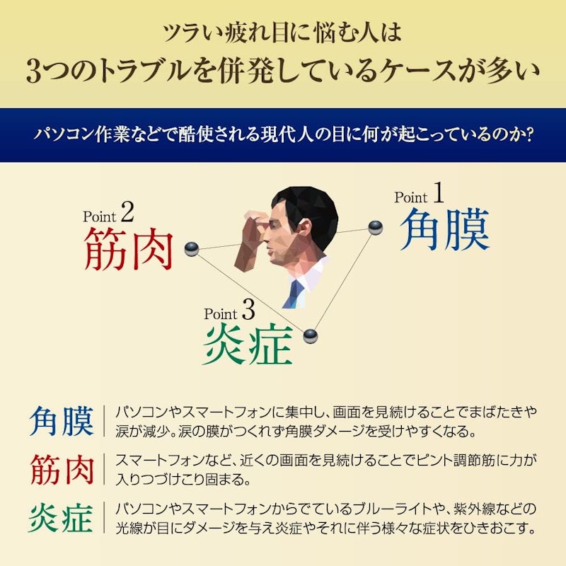 Vロートプレミアム 2