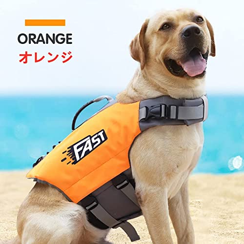 犬ライフジャケット 3