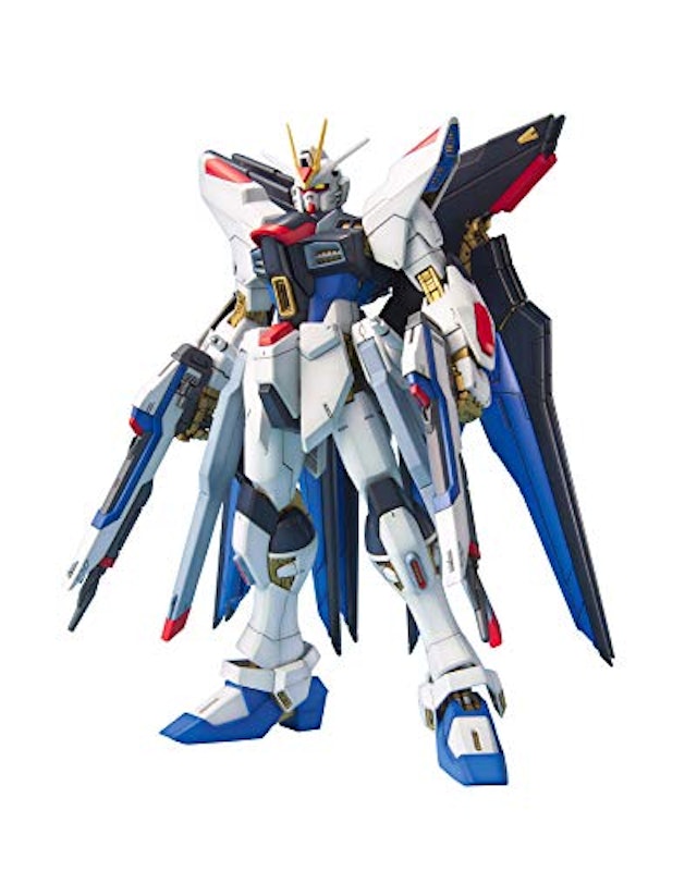 RG 1/144 ストライクフリーダムガンダム 1