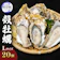 北海道厚岸町 厚岸産殻牡蠣 マルえもん 1