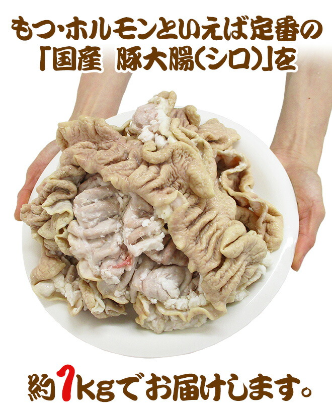  国産 豚大腸 1