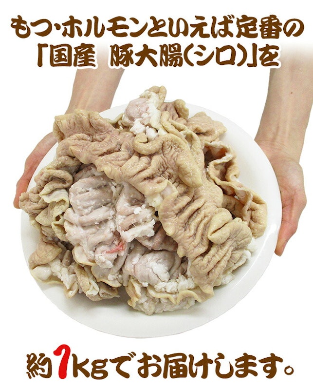 国産 豚大腸 1