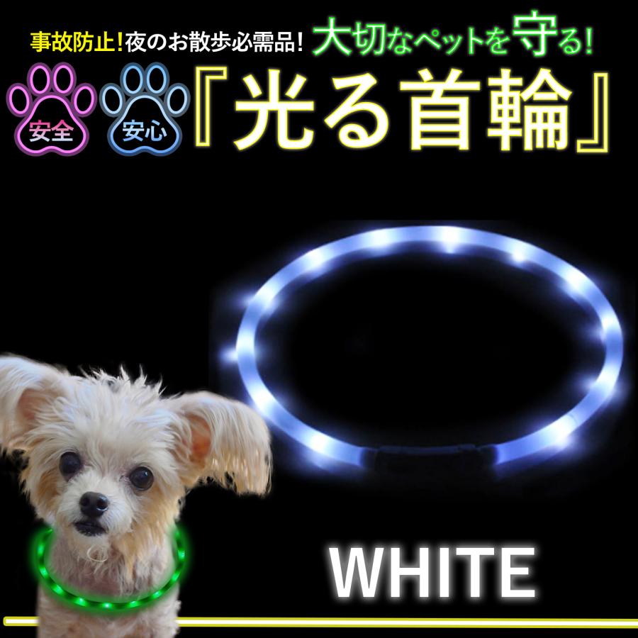 光る首輪  7