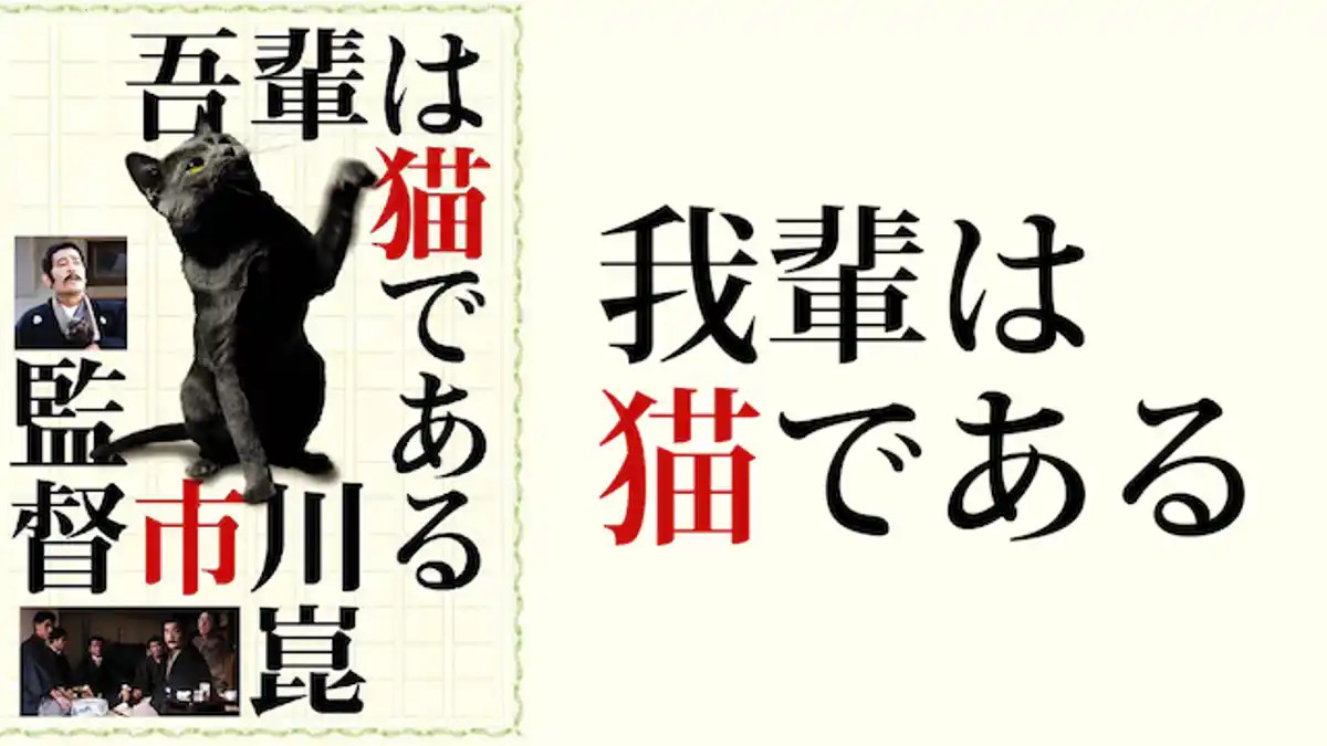 猫映画のおすすめ人気ランキング【2026年7月】 4