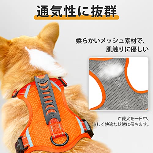 犬用ハーネス 2