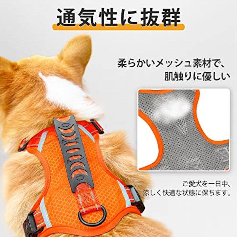 犬用ハーネス 2