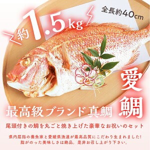 お食い初め膳 はれももかプティ agney食器セット付 6