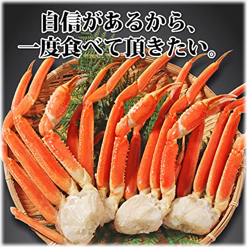 特選バルダイ種 特大ずわいがに脚 2