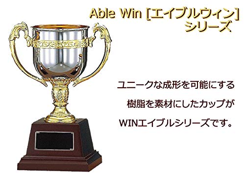 トロフィーのおすすめ人気ランキング【2024年】 | マイベスト