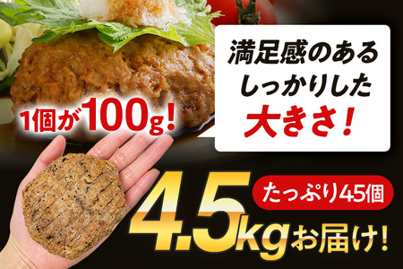 合挽焼ハンバーグ 3